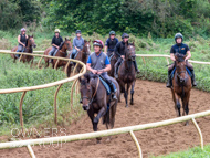 EL270923-47 - Emma Lavelle Stable Visit